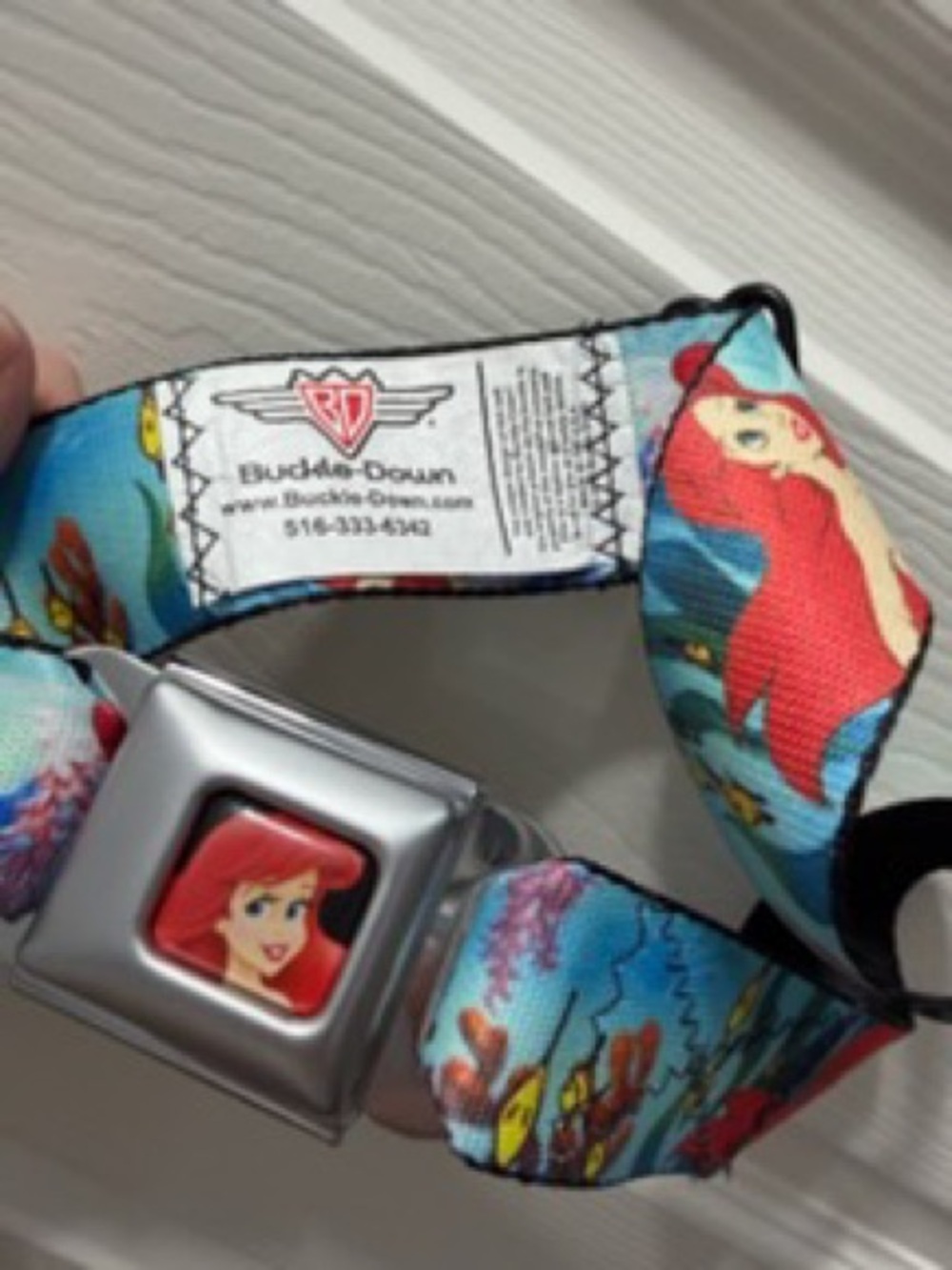 Buckle-Down Ariel Seatbelt Strap in Red & Aqua